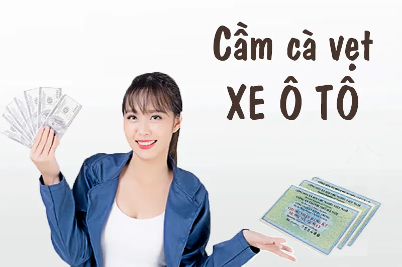 cầm cà vẹt xe ô tô